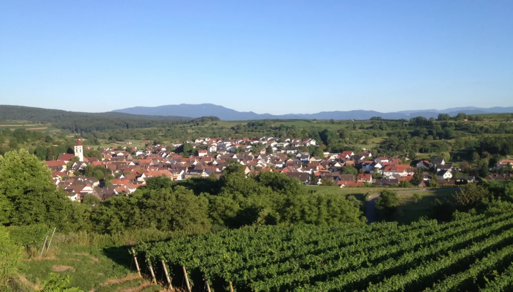 Malterdingen - Blick über die Reben